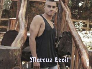 Marcus_Levit