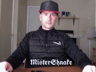 MisterShnake