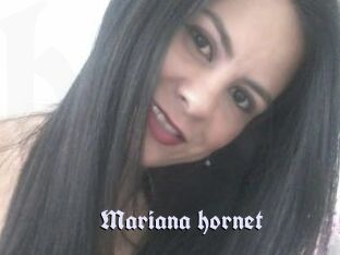 Mariana_hornet