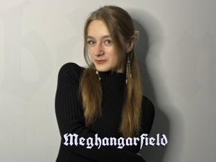 Meghangarfield