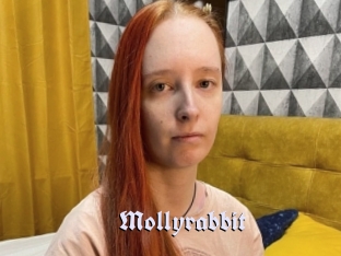 Mollyrabbit