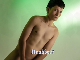 noahbeck Bdsm Blog