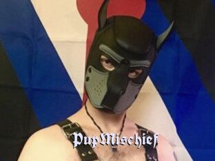 PupMischief