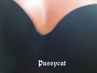 Pussycat