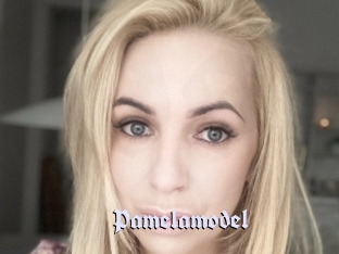 Pamelamodel