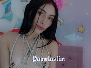 Pamelaslim