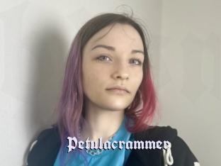 Petulacrammer