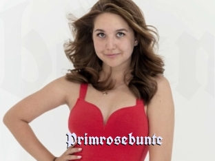 Primrosebunte