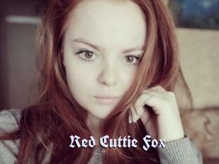 Red_Cuttie_Fox