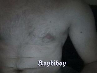 Roybiboy