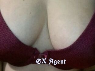 SX_Agent