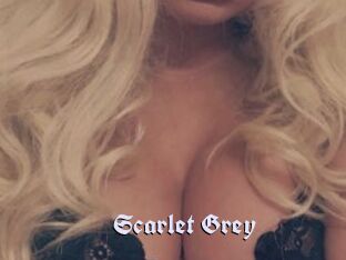 Scarlet_Grey