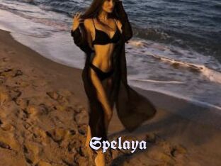 Spelaya