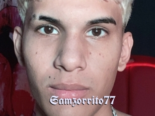 Samzorrito77