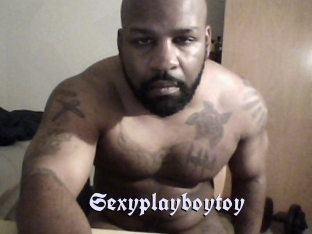 Sexyplayboytoy