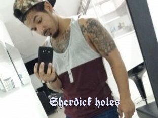 Sherdick_holes