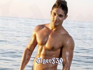 TigerF30