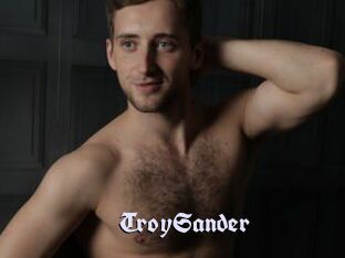 TroySander