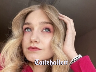 Taitehallett