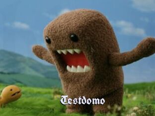Testdomo