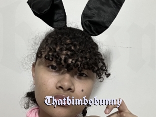 Thatbimbobunny