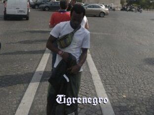 Tigrenegro