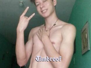 Timbrook