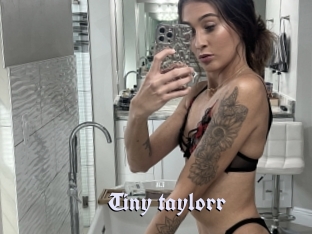 Tiny_taylorr