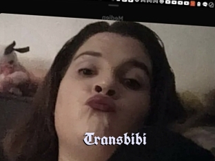 Transbibi