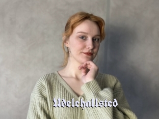 Udelehallsted