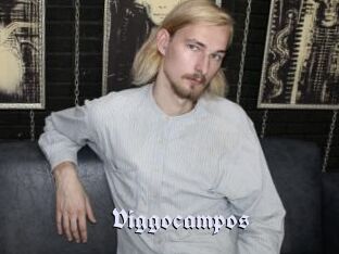 Viggocampos