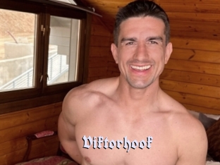 Viktorhook