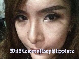 Wildflowerofthephilippines