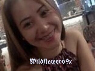 Wildflower69x