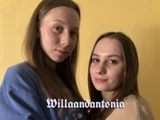 Willaandantonia